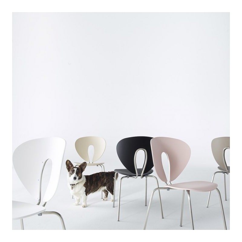 Silla Globus en Polipropileno
