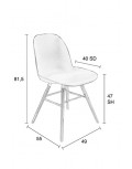 Silla Albert Kuip