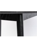 Mesa Fabián