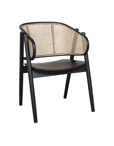 Silla Patanemo