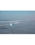 Silla The Ocean