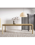 Mesa extensible Idara