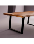 Mesa Junt
