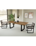 Mesa Junt