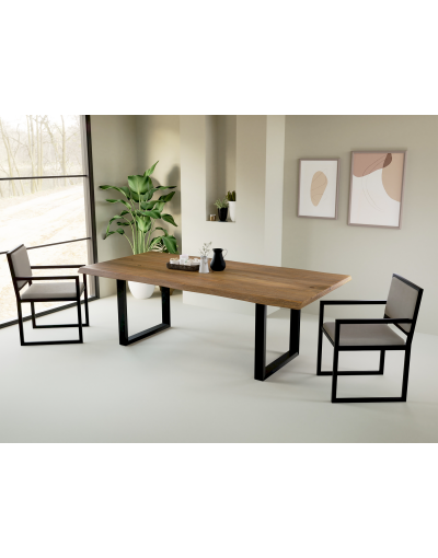Mesa Junt